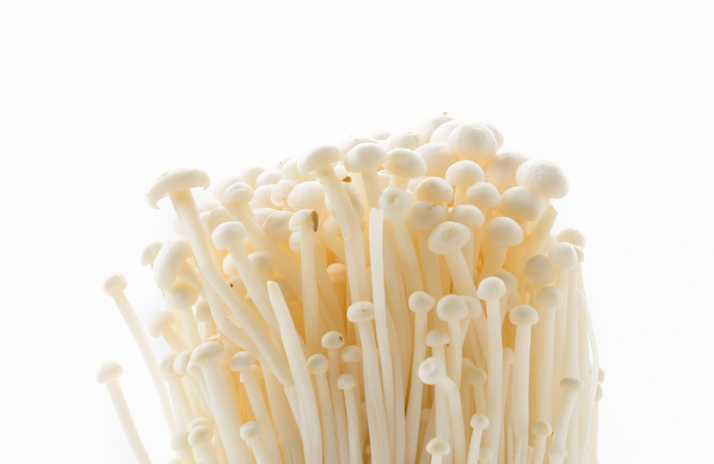 Lion's Mane